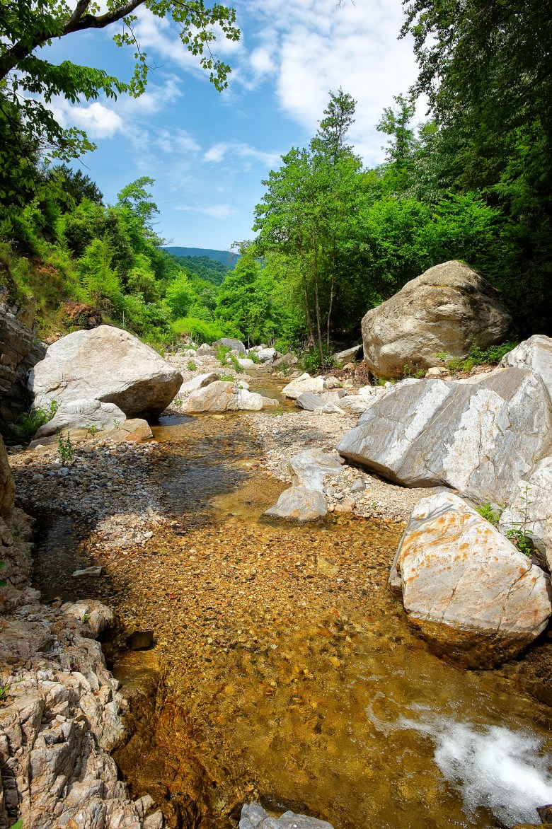 PREFECTURE OF HALKIDIKI_HAL6053.jpg